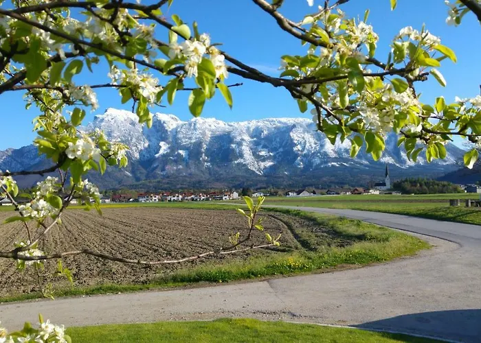 Vor Den Toren Salzburgs *